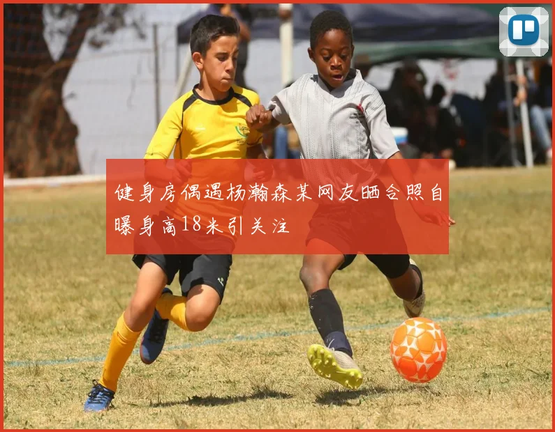 健身房偶遇杨瀚森某网友晒合照自曝身高18米引关注