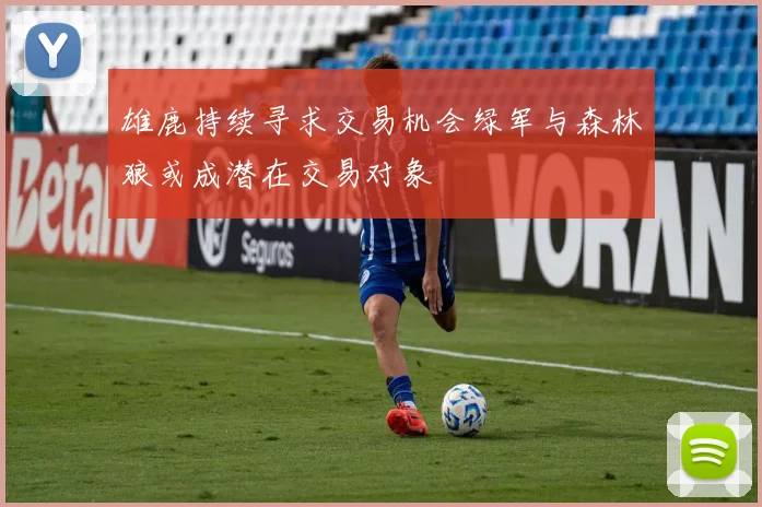 雄鹿持续寻求交易机会绿军与森林狼或成潜在交易对象